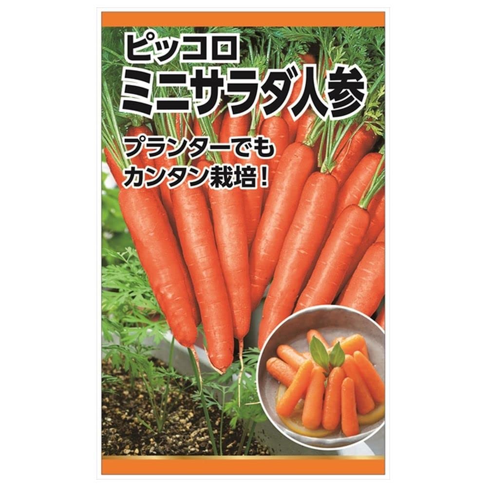 Amazon.co.jp: にんじん 【ミニサラダ人参(ピッコロ)】 種・小袋 （3ml